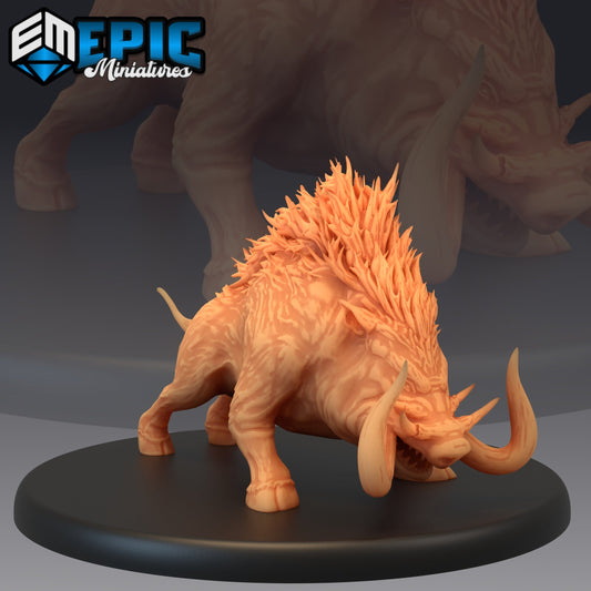Forest Boar