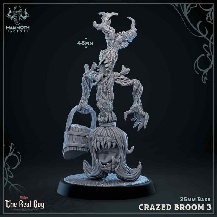 Broom Mimics