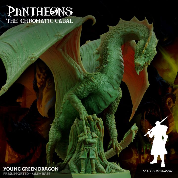 Young Green Dragon