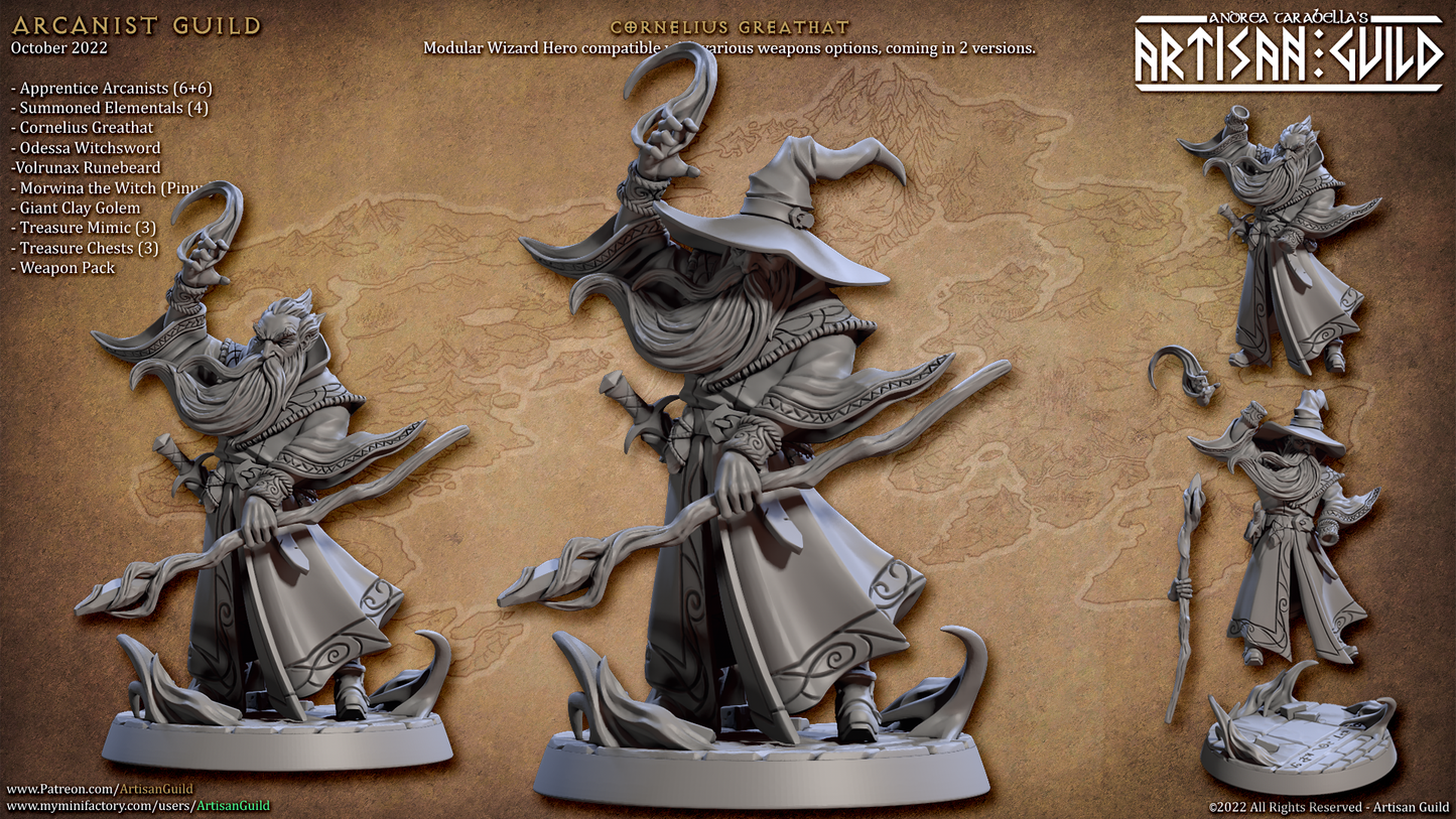 Cornelius Greathat Wizard Miniature
