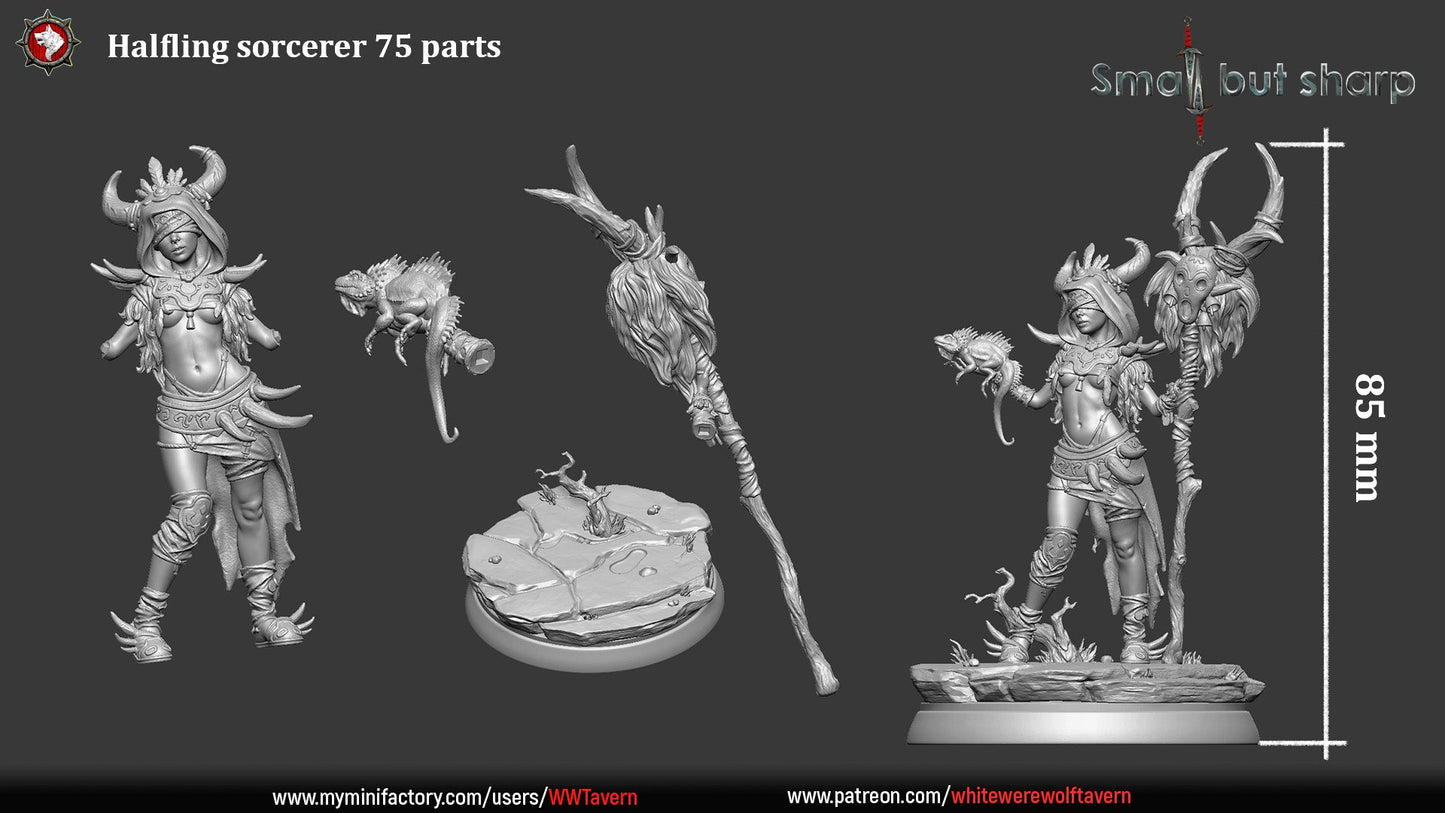 Halfling Sorcerer – Halfling Female Magic User Miniature & Bust