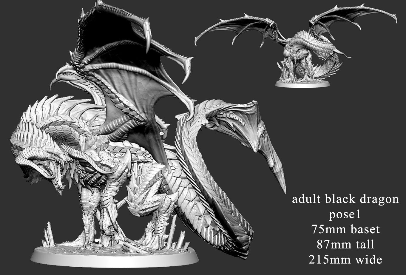 Adult Black Dragon