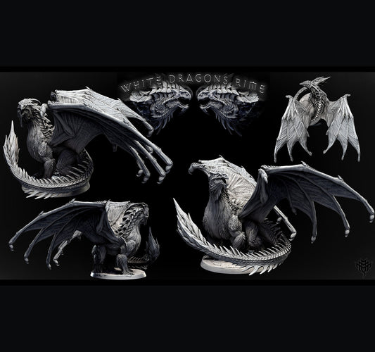 Adult White Dragon