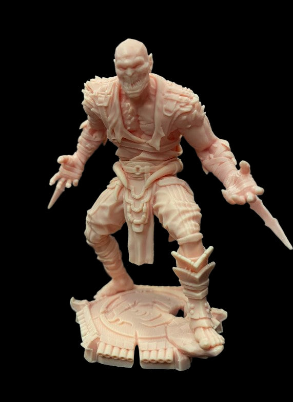 Melted Asssassin - Mortal Kombat Inspired Assassin Miniature