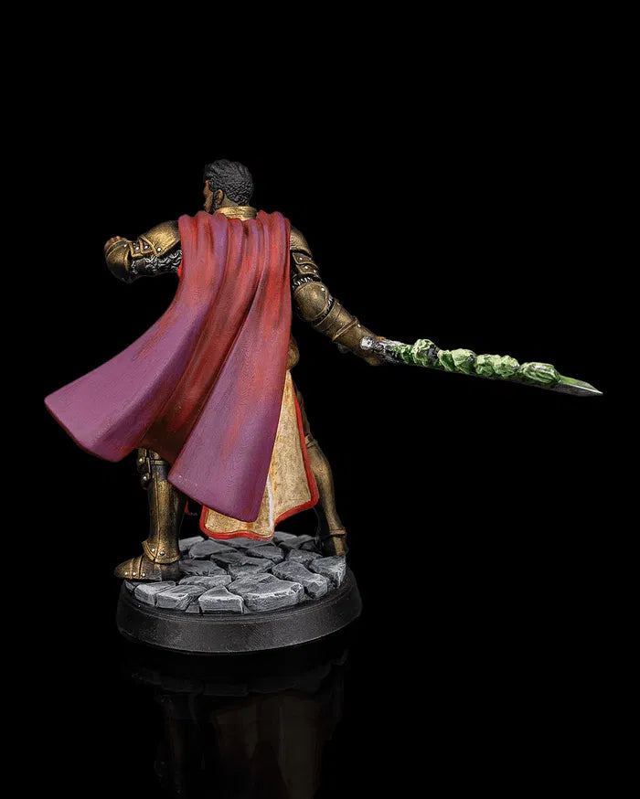 Caius Pretorean – Human Paladin – Beldrad's Bag of Beasts – Hero Miniature