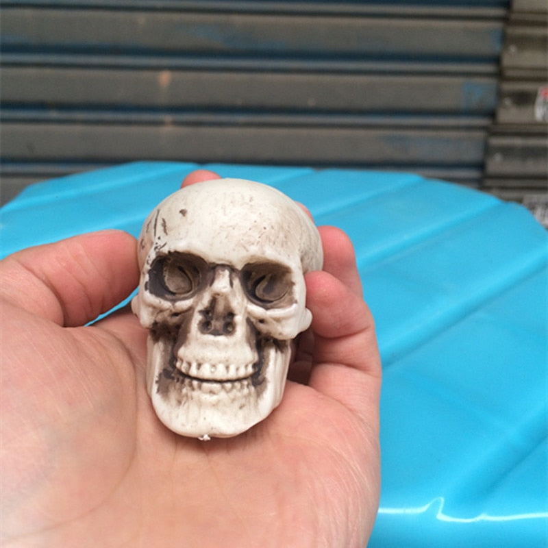 Mini Plastic Skull Craft Decoration