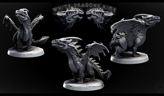 Young White Dragon