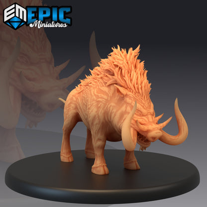 Forest Boar