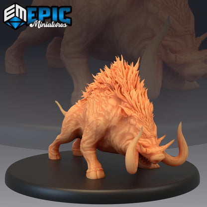 Forest Boar