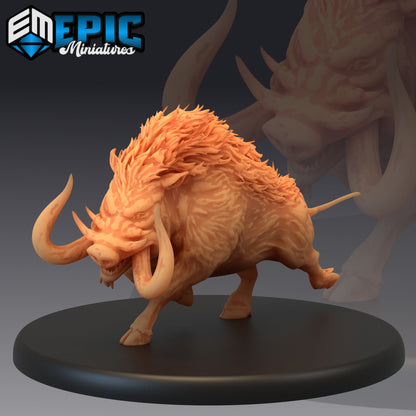 Forest Boar