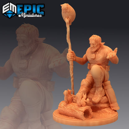 Firbolg Druid