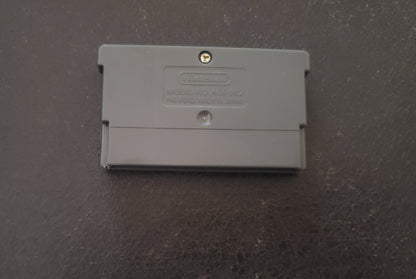 Pokemon Namless GBA Video Game Boy Advance Custom ROM Hack