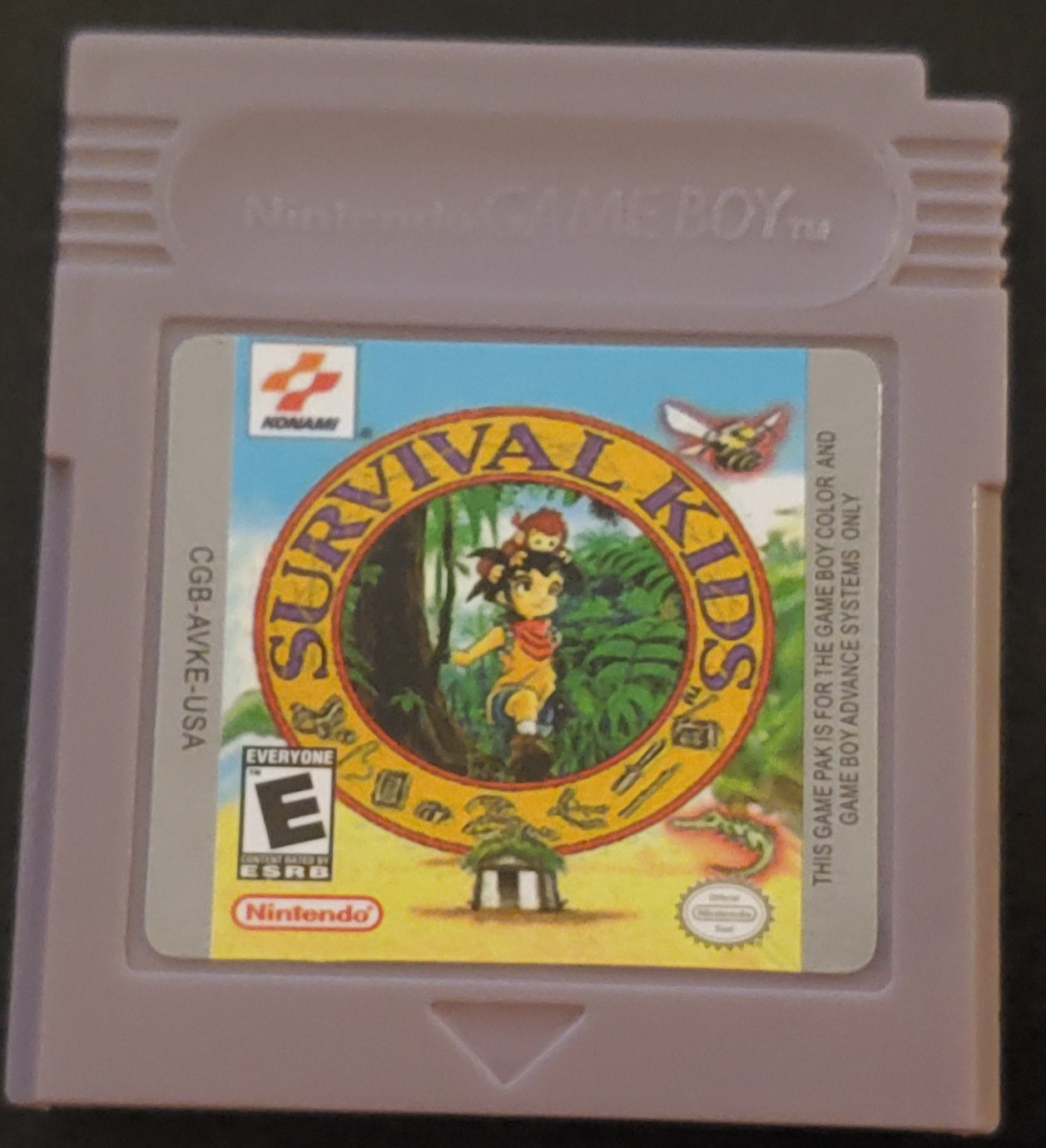 Survival Kids 1 GBC Video Game Catridge Gameboy Color 1999