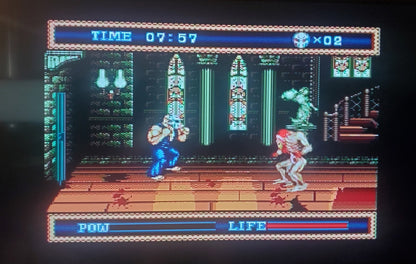 Splatterhouse 3 Sega Genesis Mega Drive Video Game Cartridge 1993