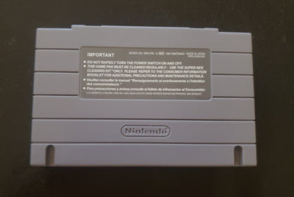 Donkey Kong Country 2 DKC 2 SNES Video Game Super Nintendo 1995