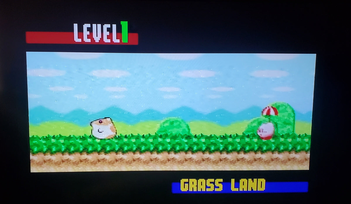 Kirby's Dream Land 3 SNES Video Game Cartridge Super Nintendo 1997