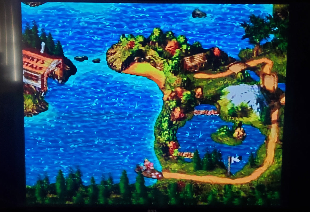 Donkey Kong Country 3 DKC 3 SNES Video Game Super Nintendo 1996