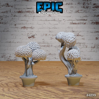 Eastern Temple Scatter - Bonzai