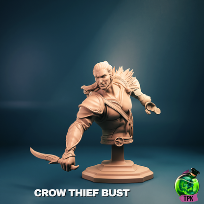 Crow Thief - Male Elf Rogue - Masked & Unmasked - Miniature & Bust Versions