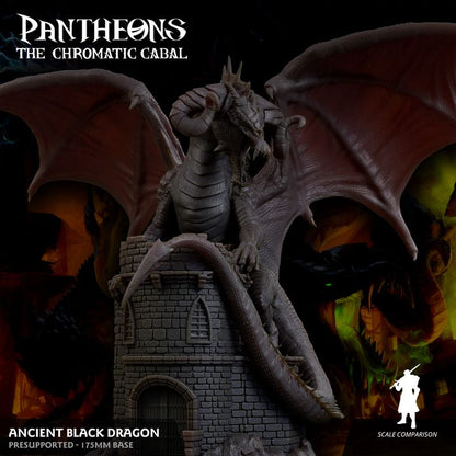 Ancient Black Dragon