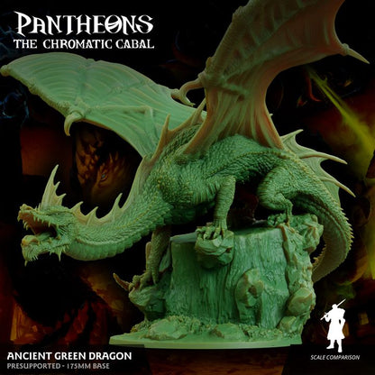 Ancient Green Dragon