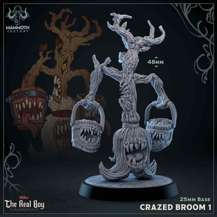 Broom Mimics