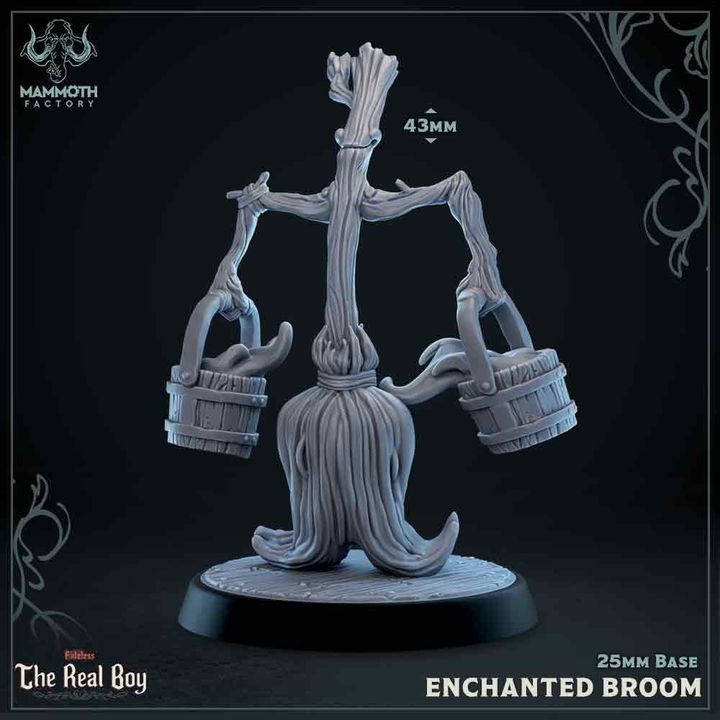 Broom Mimics