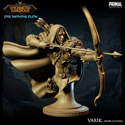 Dark Elf - Varik Dun'ate
