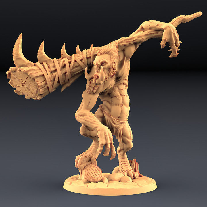 Rock N Troll