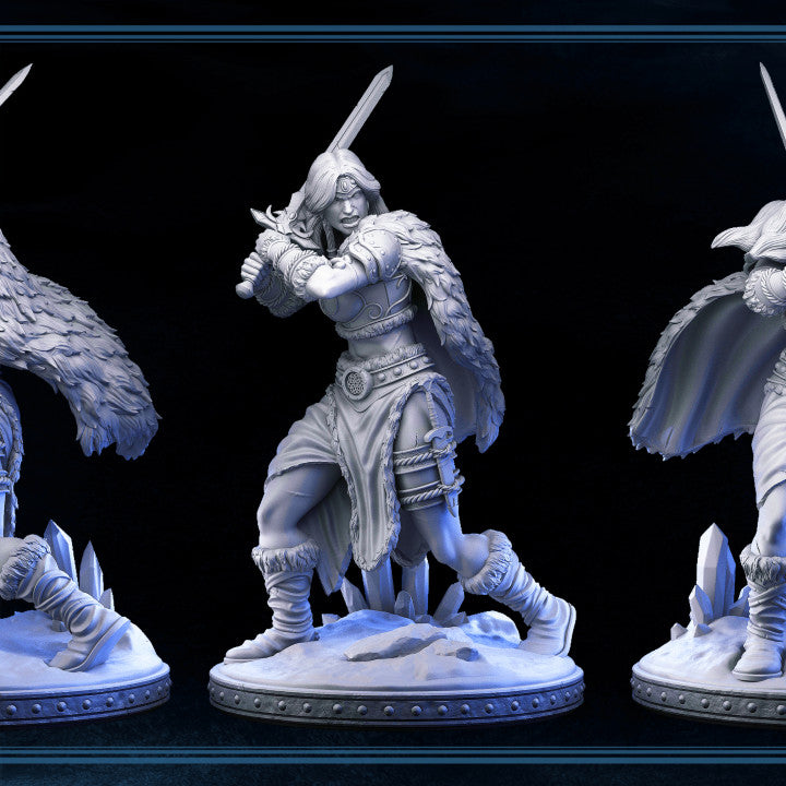 Valkyrie - Barbarian
