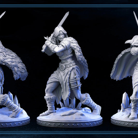 Valkyrie - Barbarian