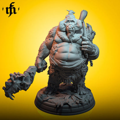 Korga, Jungle Fury