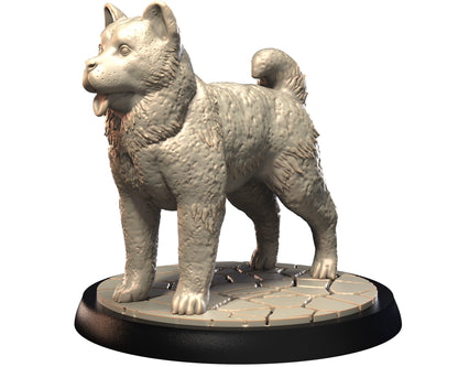 Dog Companions Vol. 1, Part 1