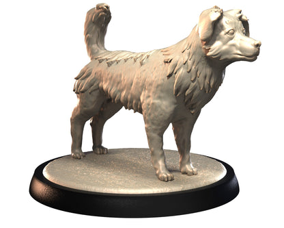 Dog Companions Vol. 1, Part 1