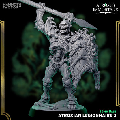 Atroxian Legionnaires – Undead Draugr Skeletal Soldier Miniatures
