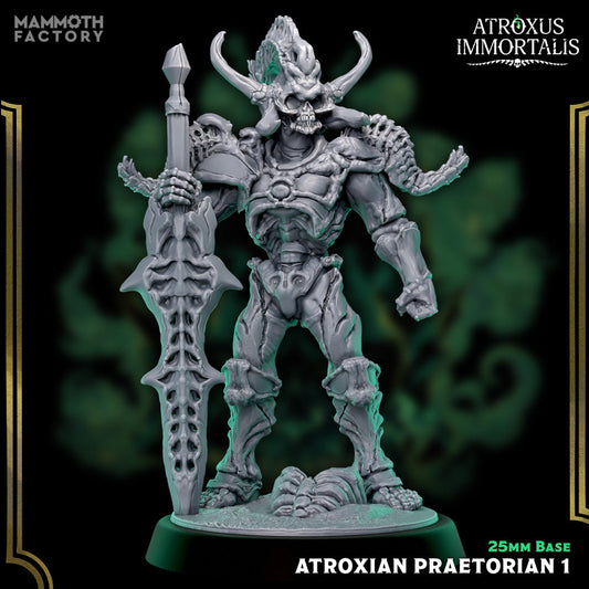 Atroxian Praetorians – Undead Draugr Skeletal Soldier Miniatures