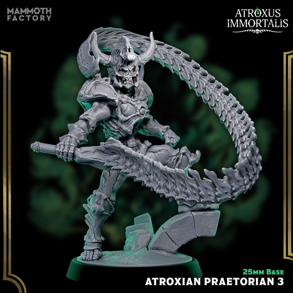 Atroxian Praetorians – Undead Draugr Skeletal Soldier Miniatures