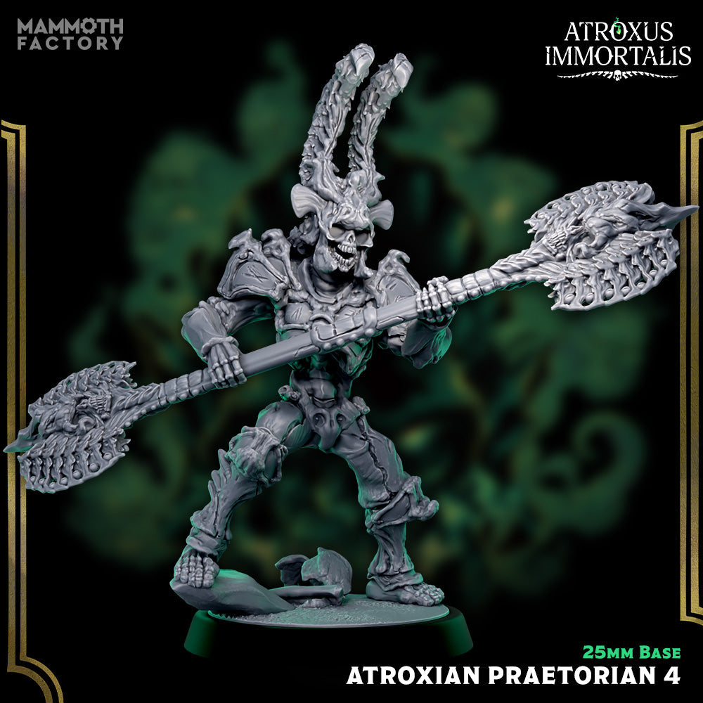 Atroxian Praetorians – Undead Draugr Skeletal Soldier Miniatures
