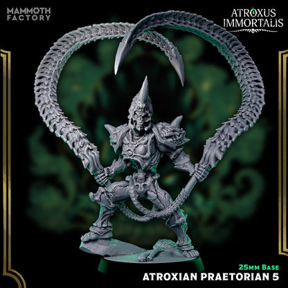 Atroxian Praetorians – Undead Draugr Skeletal Soldier Miniatures