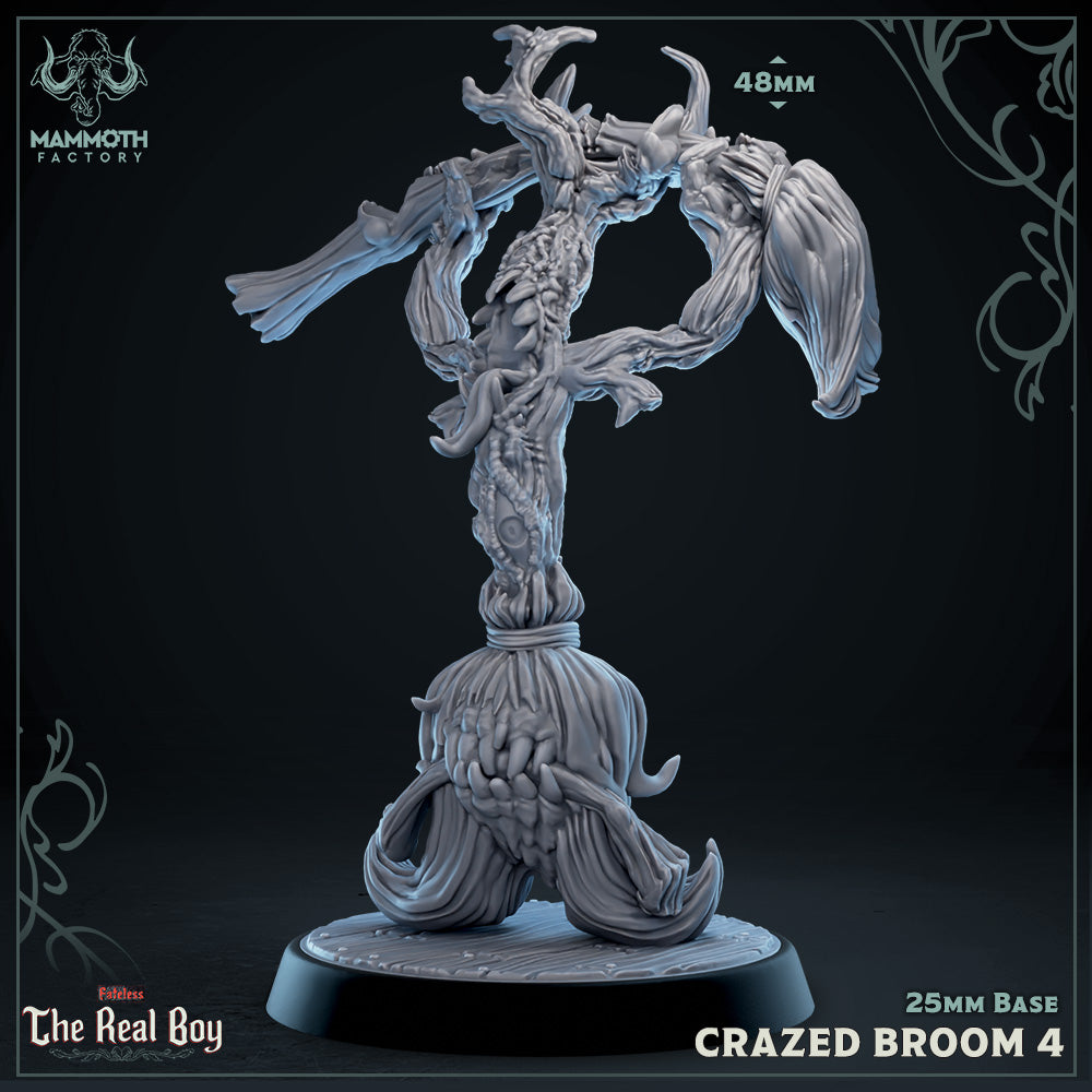 Broom Mimics