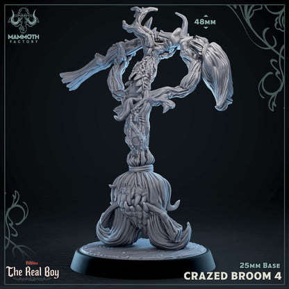 Broom Mimics