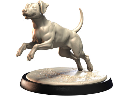 Dog Companions Vol. 1, Part 2