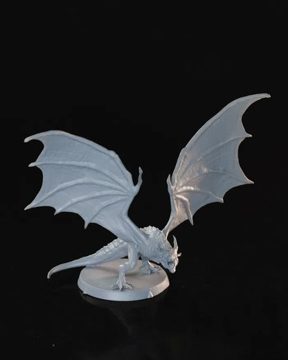 Dragons