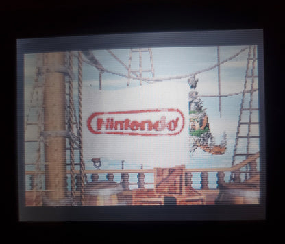 Donkey Kong Country 2 GBA Video Game Nintendo Game Boy Advance 2004