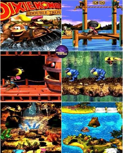 Donkey Kong Country 3 DKC 3 SNES Video Game Super Nintendo 1996