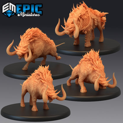 Forest Boar