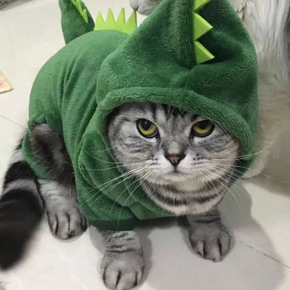 Funny Dinosaur Costume for Pets