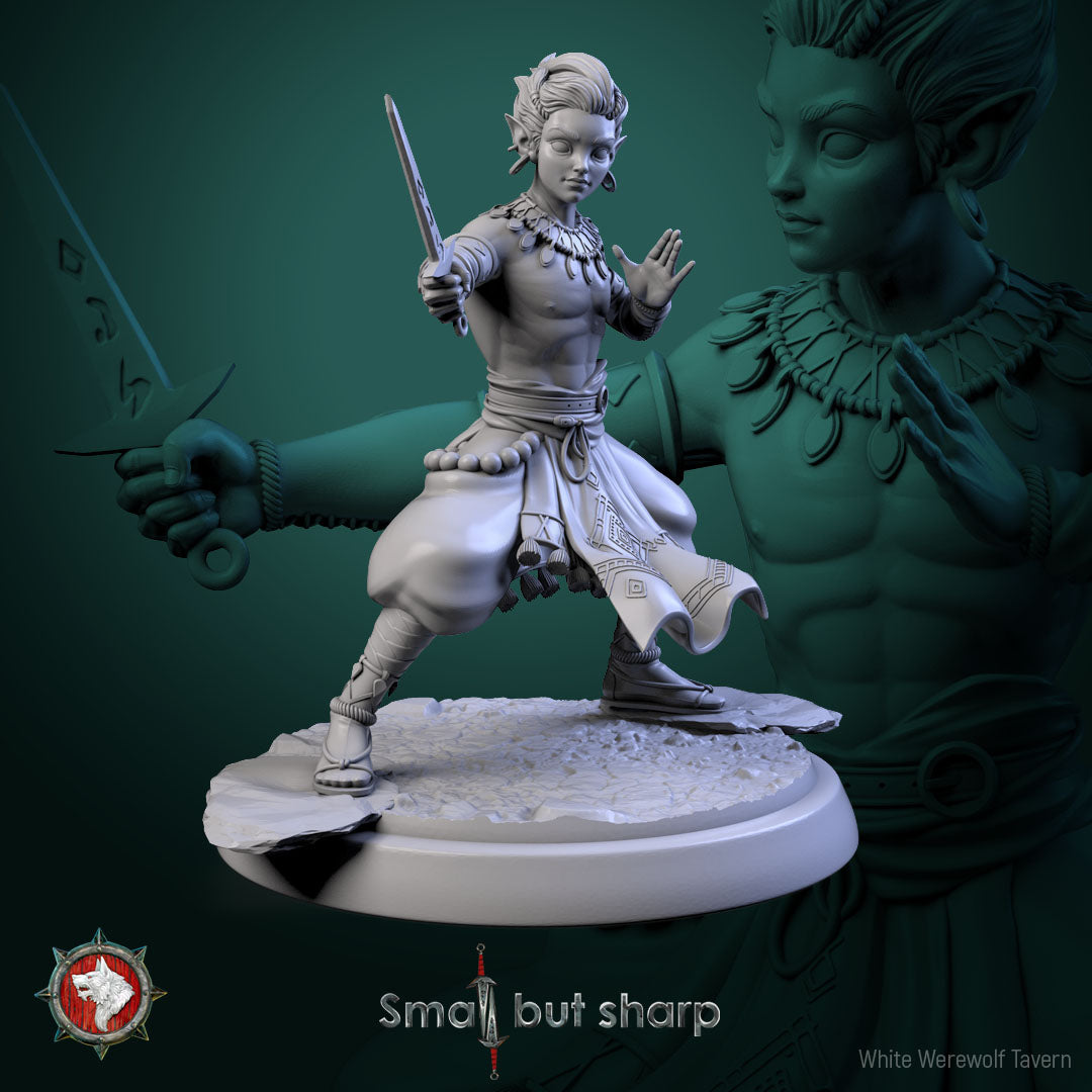 Halfling Monks Set – Halfling Male Monk Miniatures