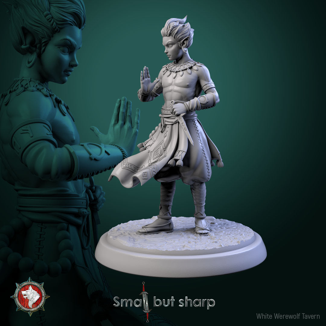 Halfling Monks Set – Halfling Male Monk Miniatures