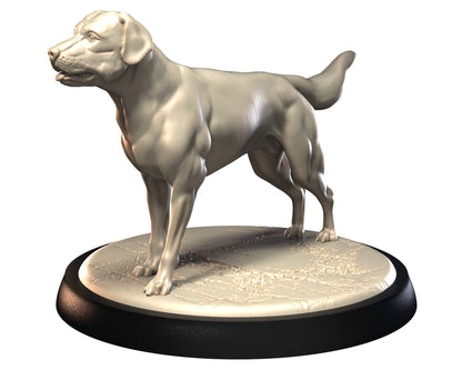 Dog Companions Vol. 1, Part 2